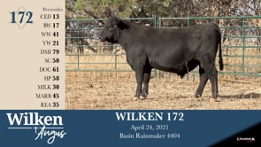 Lot #172 - WILKEN 172