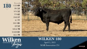 Lot #180 - WILKEN 180