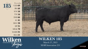 Lot #185 - WILKEN 185