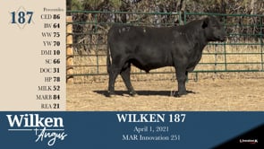 Lot #187 - WILKEN 187