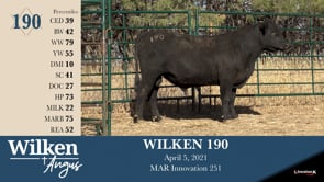 Lot #190 - WILKEN 190