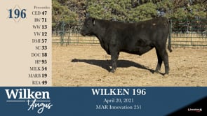 Lot #196 - WILKEN 196