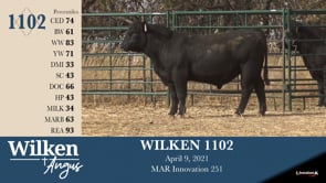 Lot #1102 - WILKEN 1102