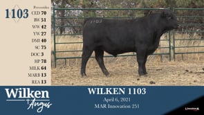 Lot #1103 - WILKEN 1103