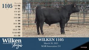 Lot #1105 - WILKEN 1105