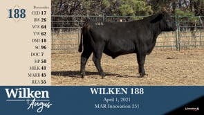 Lot #188 - WILKEN 188