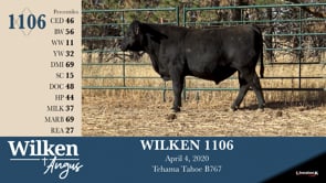 Lot #1106 - WILKEN 1106