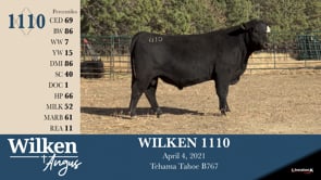 Lot #1110 - WILKEN 1110