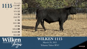 Lot #1115 - WILKEN 1115