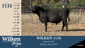Lot #1116 - WILKEN 1116