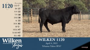 Lot #1120 - WILKEN 1120