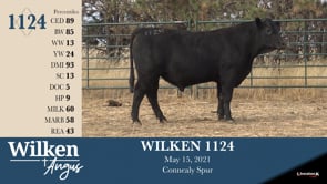 Lot #1124 - WILKEN 1124