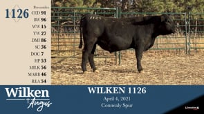 Lot #1126 - WILKEN 1126
