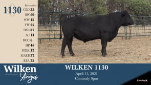 Lot #1130 - WILKEN 1130