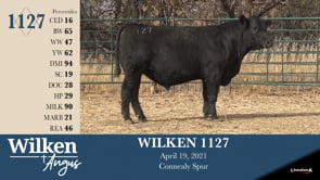 Lot #1127 - WILKEN 1127