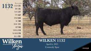 Lot #1132 - WILKEN 1132