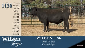 Lot #1136 - WILKEN 1136