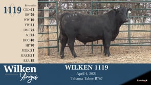 Lot #1119 - WILKEN 1119