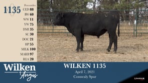 Lot #1135 - WILKEN 1135