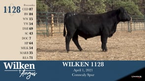 Lot #1128 - WILKEN 1128