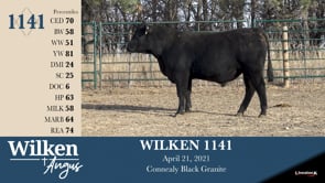 Lot #1141 - WILKEN 1141
