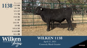 Lot #1138 - WILKEN 1138