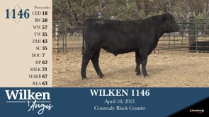 Lot #1146 - WILKEN 1146