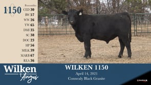 Lot #1150 - WILKEN 1150
