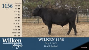 Lot #1156 - WILKEN 1156
