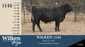 Lot #1144 - WILKEN 1144