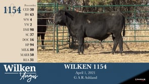 Lot #1154 - WILKEN 1154