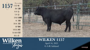 Lot #1157 - WILKEN 1157