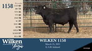 Lot #1158 - WILKEN 1158