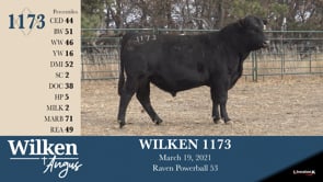 Lot #1173 - WILKEN 1173