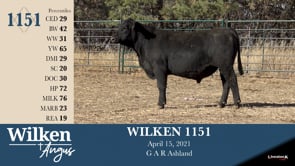 Lot #1151 - WILKEN 1151