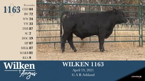 Lot #1163 - WILKEN 1163