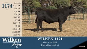Lot #1174 - WILKEN 1174