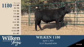 Lot #1180 - WILKEN 1180