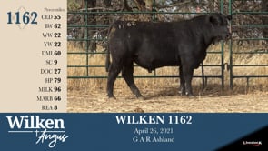 Lot #1162 - WILKEN 1162
