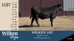 Lot #1187 - WILKEN 1187