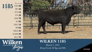 Lot #1185 - WILKEN 1185