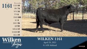 Lot #1161 - WILKEN 1161