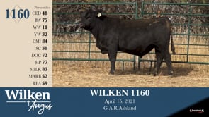 Lot #1160 - WILKEN 1160