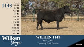 Lot #1143 - WILKEN 1143