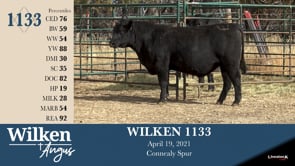 Lot #1133 - WILKEN 1133