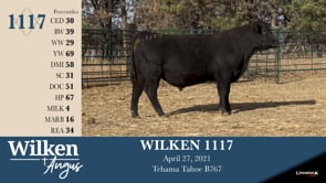 Lot #1117 - WILKEN 1117