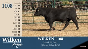 Lot #1108 - WILKEN 1108