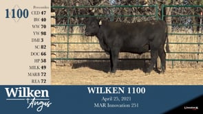 Lot #1100 - WILKEN 1100