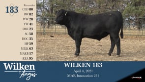 Lot #183 - WILKEN 183