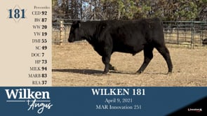 Lot #181 - WILKEN 181